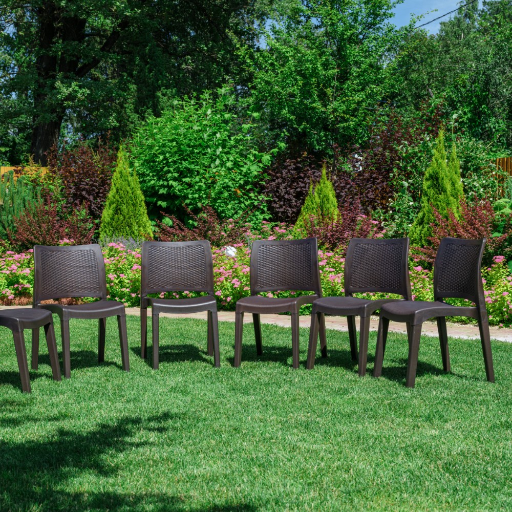 Комплект обеденных стульев Royal Family JULY (6 шт.) коричневый 6